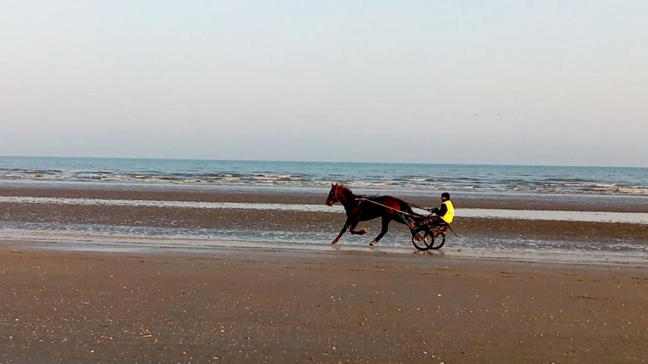 Bed and Breakfast Chez Gigi Merville-Franceville-Plage Exterior foto
